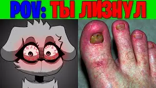 Жуткие лица Беллы (POV: Ты облизал)