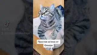 Оскар