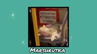 IOWA ~ Маршрутка (sped up )                              