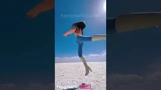 fly 