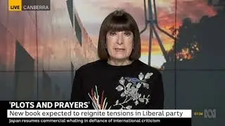 Niki Savva on ABC News Breakfast 2 July 2019