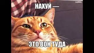 Даю направление