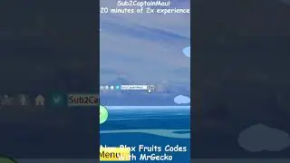 2023 Blox Fruit Codes With MrGecko 