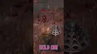 okay hold on buddy