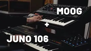 Ambient Jam with Roland Juno-106 + Moog Grandmother | Analog Synth Jam Session