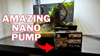 Sicce Syncra Nano Pump Unboxing and Review