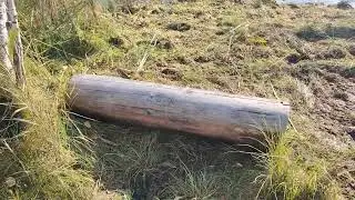 Ведьмино озеро. опять иду туда. Болотное озеро в Малиной.