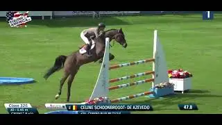 Coseno Blue , gelding 2015 by Conthargos x Chacco Blue