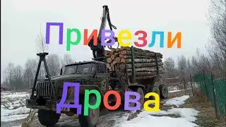 Как привозят дрова в деревне. 