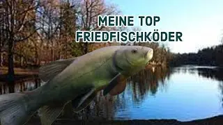 Die besten Köder für Friedfische! | Angeln auf Hochtour