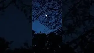 2017's Total Eclipse