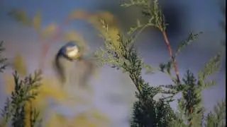 Amazing Nature Scenery | The Breathtaking Beauty of Nature| Beautiful Nature View||Nature Relaxation