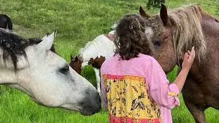 FINALLY Herd All Together - And Invitation from the Singing Horse Herd