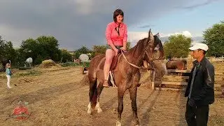 ЭТНИЧЕСКИЙ КАЗАЧИЙ хутор станицы НОВОТРОИЦКОЙ СТАВРОПОЛЬЕ