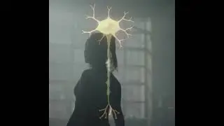 Neuro Force Natural Brain Booster