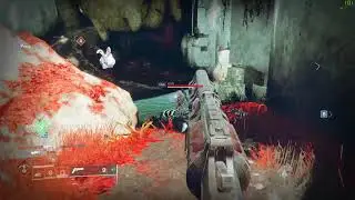 Two CHEATERS in QP #2 (wh+aim)