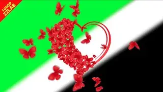Butterfly romantic magic heart Green Screen Video ZzLAB