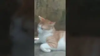 hết ông địt thúi tới bà địt thúi