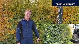 GROUP SCHUMACHER Max Tipps für die perfekte Hecke