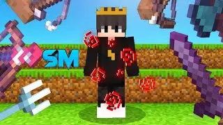 I joined this deadliest Lifesteal Smp and this happened...