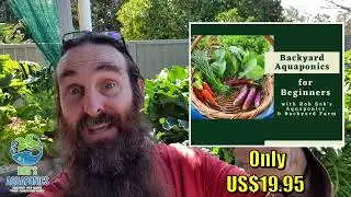 Aquaponics for Beginners | Guide Walkthrough 🐟 🍅🥬🍓