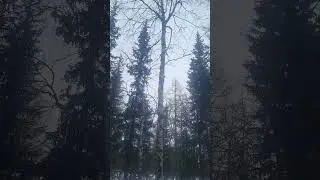 5 мая 2024 г.