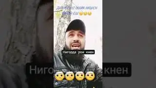 НИГОР БКАП респека🤣