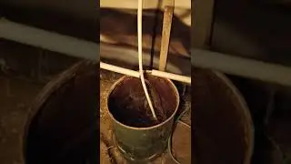 Topraksız tarım kıvırcık marul yetiştirme besin ayarı