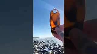 This man found a strange egg on the beech 🥺 #shorts