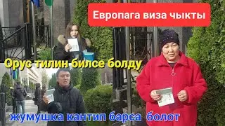 Европпага жумушка 18-62 жашка чейинкилер #кыргызстан #венгрия #европа #ош #жумуш #тезкабар #москва