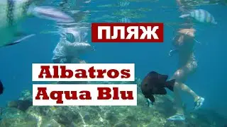 Пляж Albatros Aqua Blu Шарм-ель-Шейх