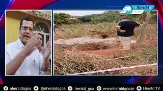 Herald TV News @ 3 7 December 2023