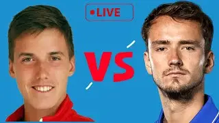 Марожан - Медведев Прогноз на теннис US Open 2024