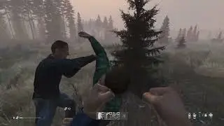 Rayaos #dayz