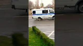 K-9 and patrol police car, horn siren