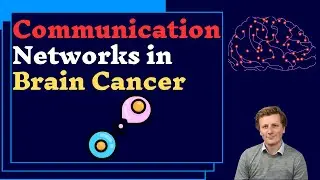 Communication Networks in Brain Cancer