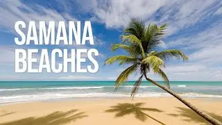 Palm-lined Beaches in Samana | Dominican Republic