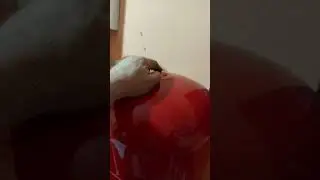 Причины утечки воды из системы и падения давления.