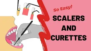 Scaling and Root planing Instruments | Scalers & Curettes