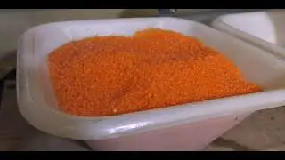 DAERA Inland Fisheries Bush Salmon Station Video