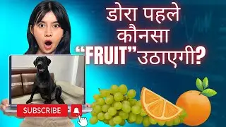 डोरा किसको चुनेगी ?? 