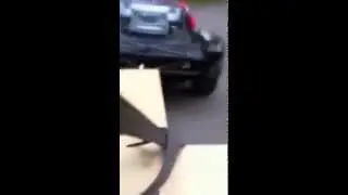 Rc traxxas slash I phone mounted on a Trailer video