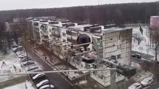 Синицы и галка едят сало