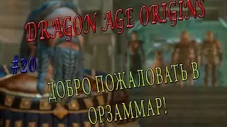 Прохождение игры Dragon Age Origins: за знатного гнома 20 серия