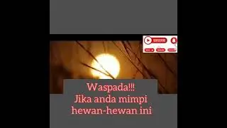 waspadalah!!!! jika anda bermimpi hewan-hewan berikut ini