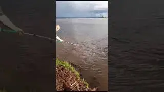 ловля лещя