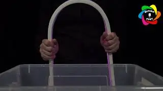 Презентация Светодиодного Гибкого Неона