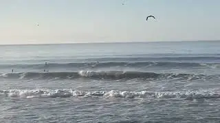 You can really see how consistent Pleasure Point gets sometimes in this video #surf #waves #ocean