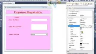 How to Create the Employee Registration Form using the TextBox,Combobox, RadioButton in Vb.Net