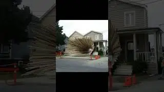 People Whose Day Started With the Phrase, “Surprise, Surprise!” #tiktok #shorts #viral #trending